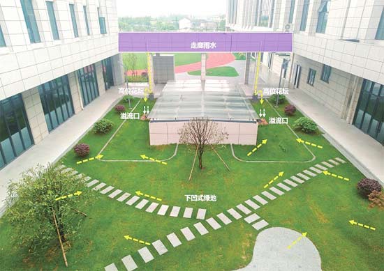 厚植生態(tài)底