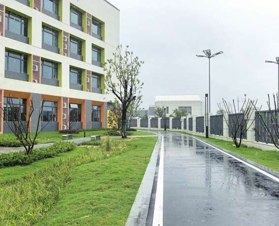 系統(tǒng)順暢強韌性　簡約適用見實效